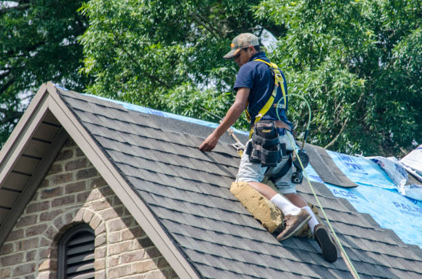 Best Storm Damage Roof Repair  in Morganville, NJ